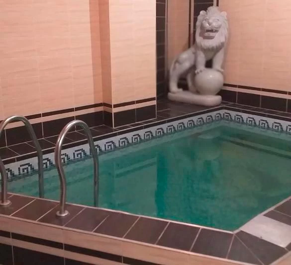 Баня Со Львом — сауны и бани Харькова